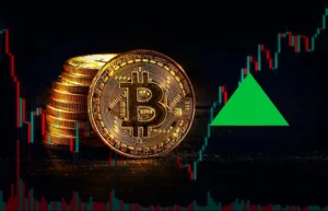 How Much Is 81 Bitcoin Worth